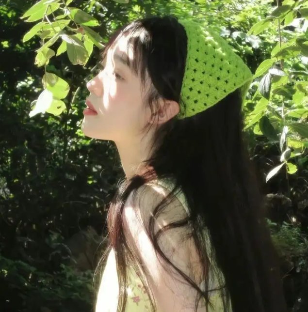 托梅斯的导盲犬
